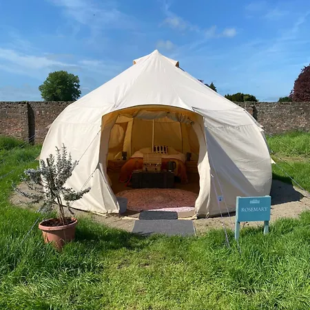 Hall Glamping *