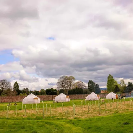 Luxusní stan Hall Glamping Thirsk